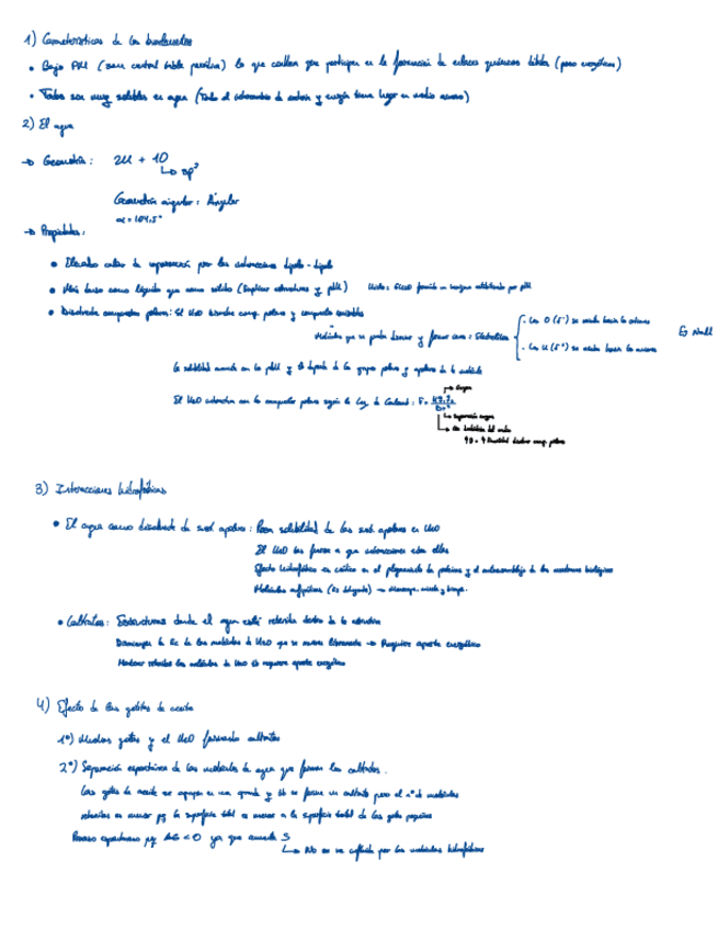 Miniatura del documento Preguntas.pdf