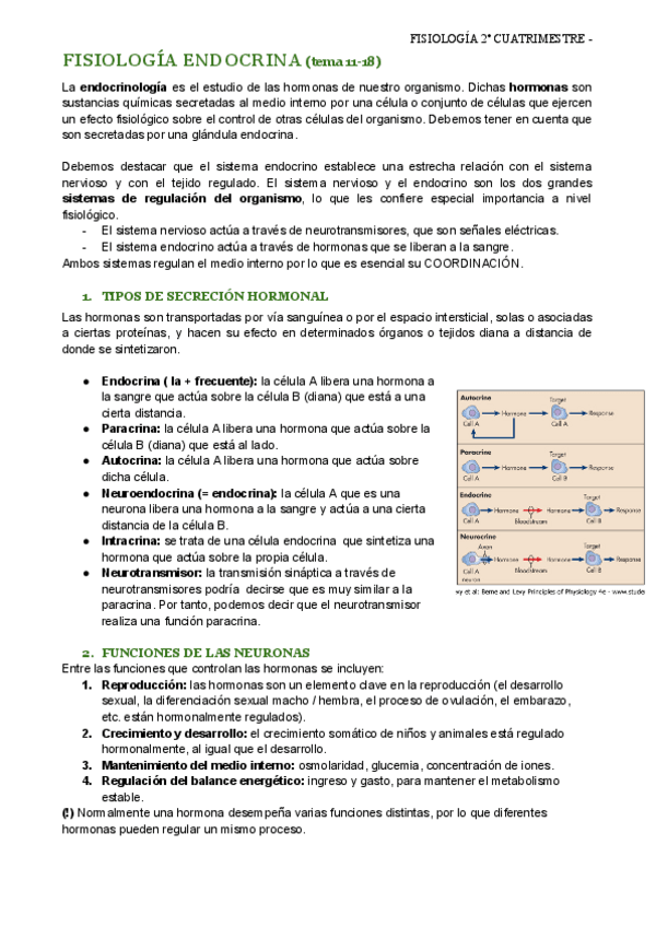 Miniatura del documento fisio-2o-cuatri-ENDOCRINOLOGIA.pdf
