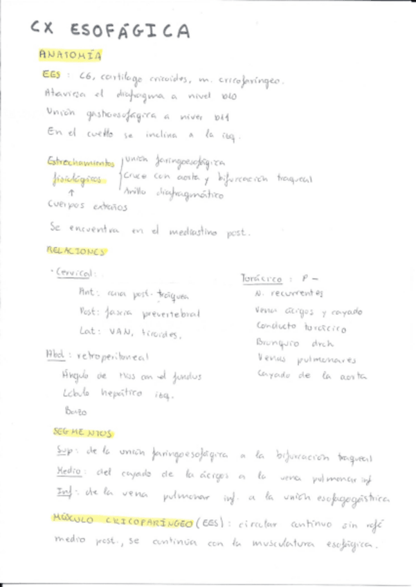 Miniatura del documento Cx-esofagica.pdf