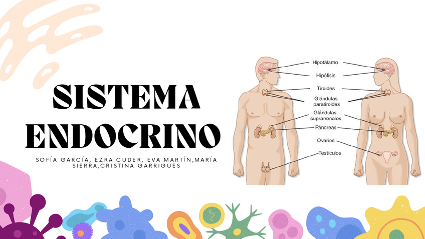Miniatura del documento Sistema-Endocrino-Powerpoint.pdf