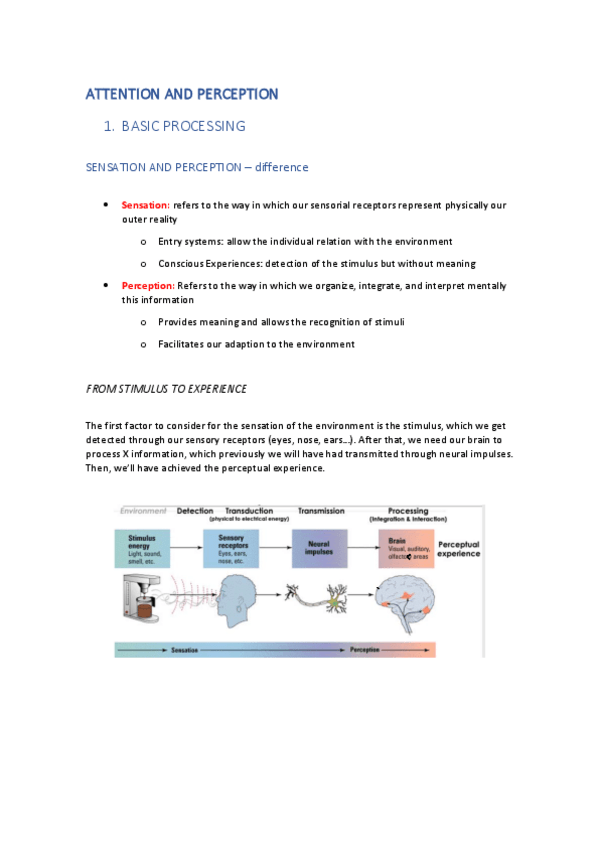 Miniatura del documento Cognitive-Processes-ATTENTION-AND-PERCEPTION.pdf