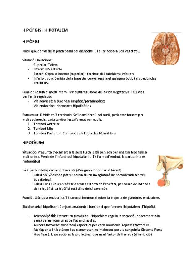 Miniatura del documento EMBRIOLOGIA-2n-parcial-2.pdf
