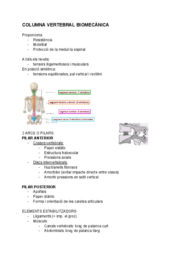 Miniatura del documento biomecanica-columna.pdf