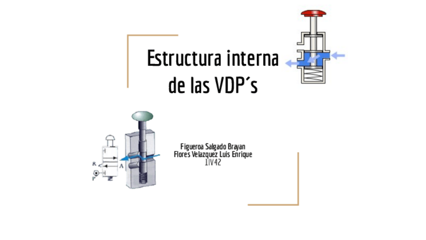 Miniatura del documento Estructura-interna-de-las-VDPs.pdf