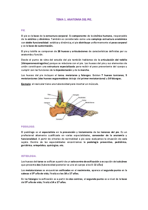 Miniatura del documento TEMA 1.pdf