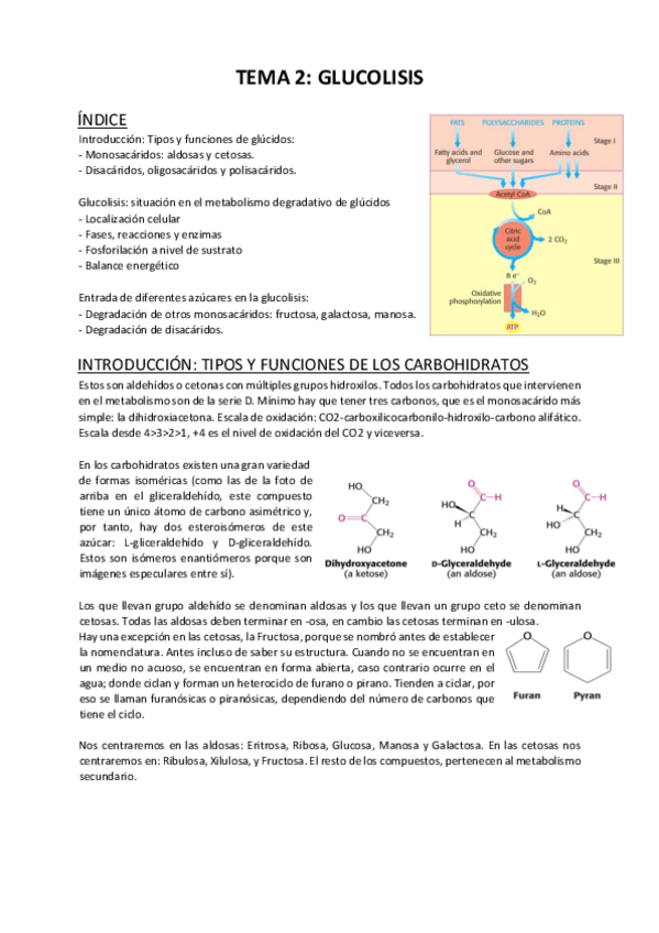 Miniatura del documento Tema 2 modificado.pdf