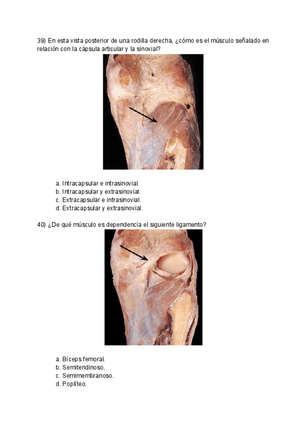 Miniatura del documento Esplacno-choicemerged-7.pdf