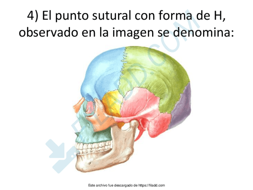 Miniatura del documento Esplacno-choicemerged-8.pdf