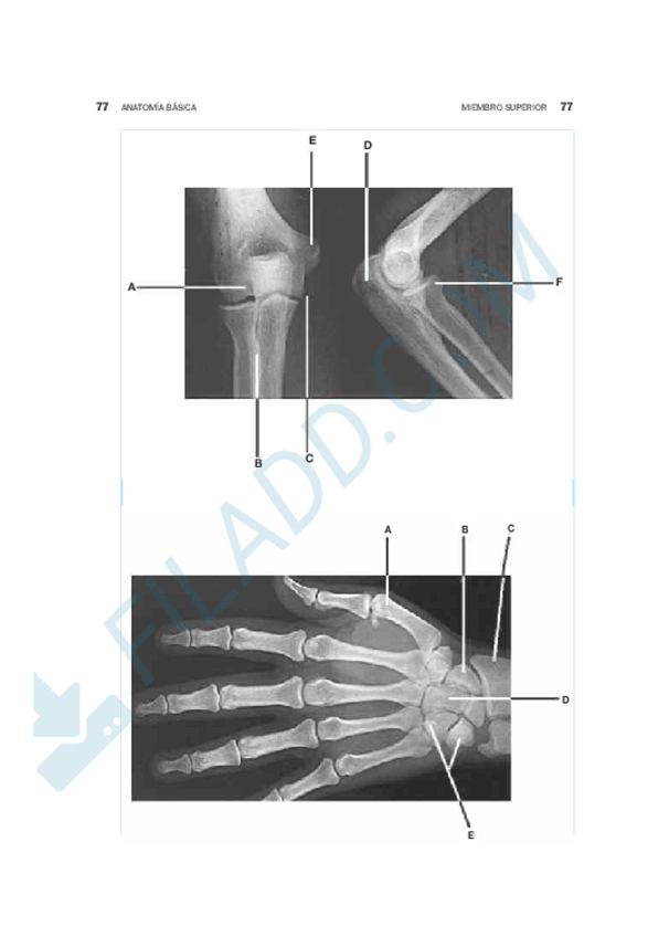 Miniatura del documento Esplacno-choicemerged-13.pdf