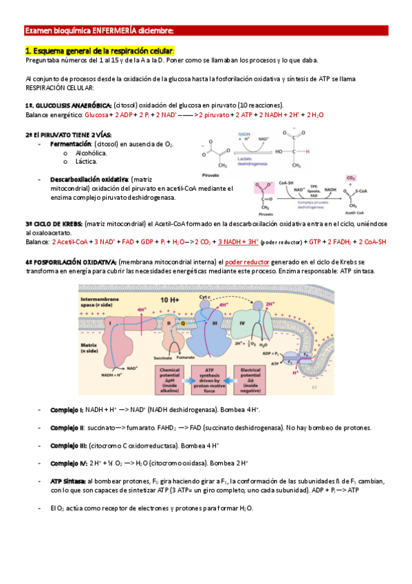 Miniatura del documento Copia-de-Examenes-enfer-y-fisio-2020.pdf