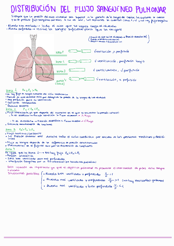 Miniatura del documento respiratorio.adicional-Resumen.pdf