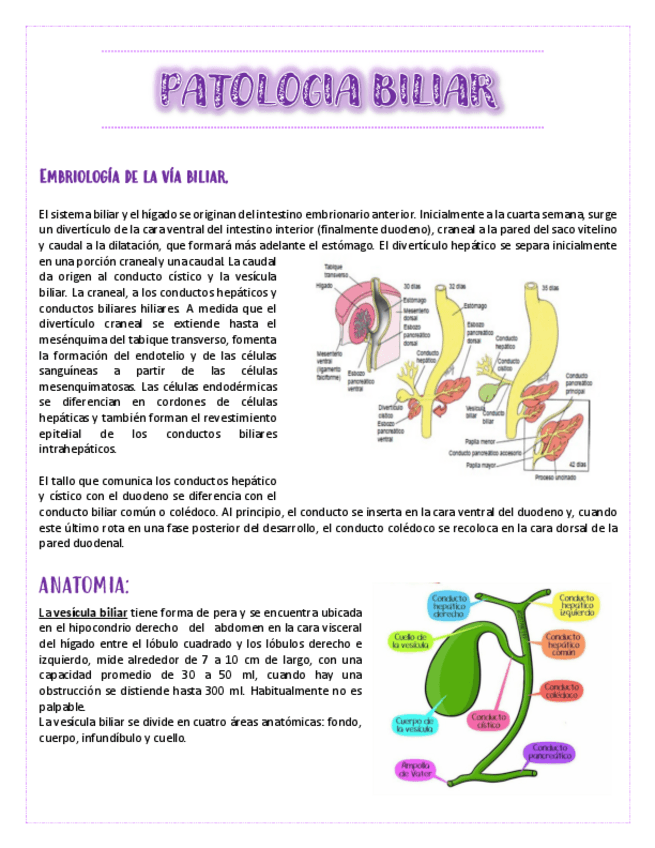 Miniatura del documento PATOLOGGIA-BILIAR.pdf
