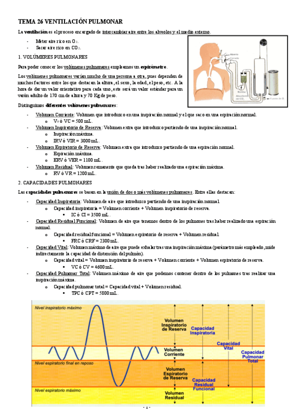 Miniatura del documento FISIOLOGIA-I-TEMA-26-VENTILACION-PULMONAR.pdf
