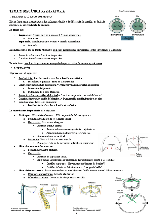 Miniatura del documento FISIOLOGIA-I-TEMA-27-MECANICA-RESPIRATORIA.pdf