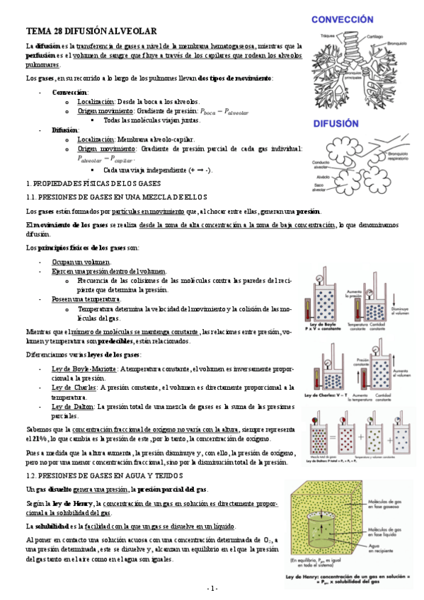 Miniatura del documento FISIOLOGIA-I-TEMA-28-DIFUSION-ALVEOLAR.pdf