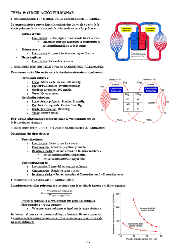 Miniatura del documento FISIOLOGIA-I-TEMA-29-CIRCULACION-PULMONAR.pdf