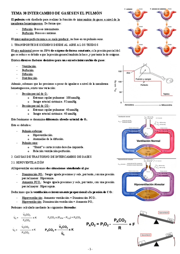 Miniatura del documento FISIOLOGIA-I-TEMA-30-INTERCAMBIO-DE-GASES-EN-EL-PULMON.pdf