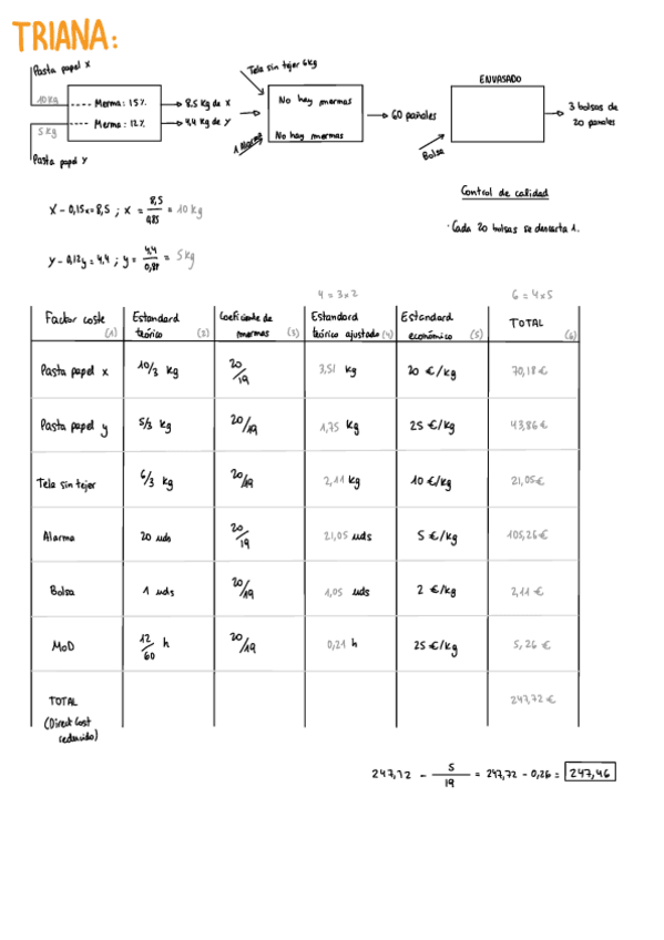 Miniatura del documento Triana-Solucion.pdf