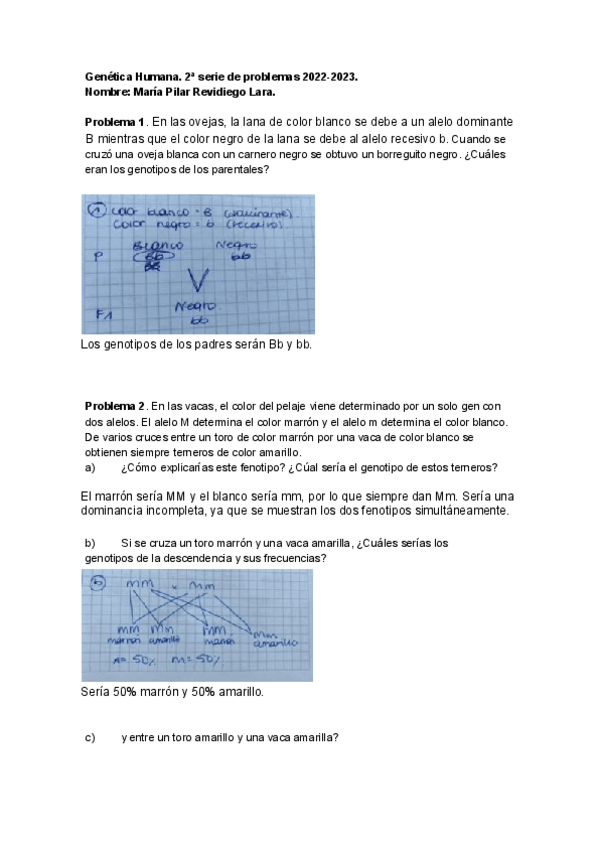 Miniatura del documento Segunda-serie-de-problemas.pdf
