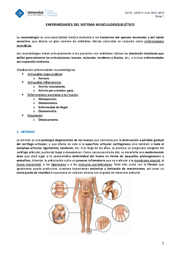 Miniatura del documento ADULT-IV-TEMA-7.pdf