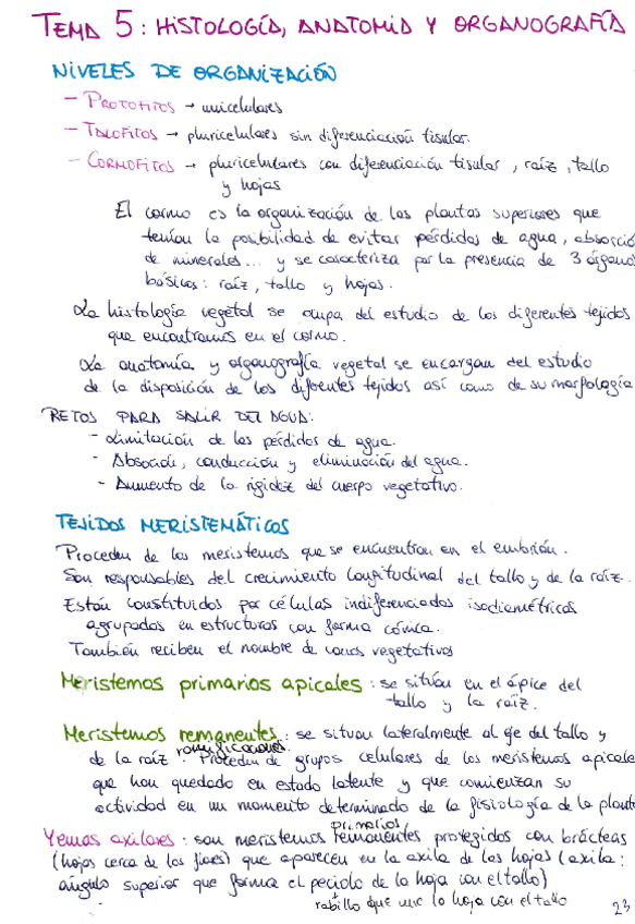 Miniatura del documento Temas-5-y-6-Biologia-I.pdf