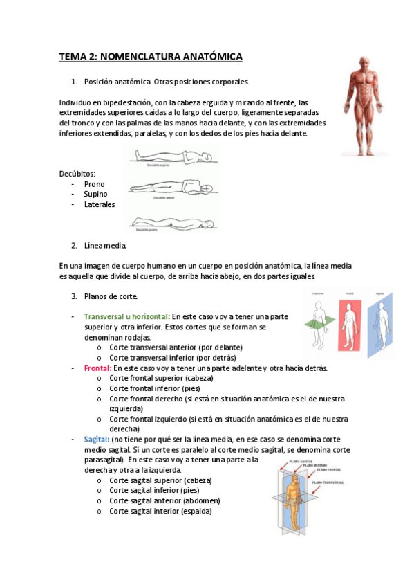 Miniatura del documento TEMA-2-Nomenclatura-anatomica.pdf