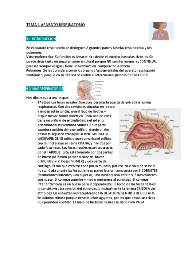 Miniatura del documento TEMA-4-APARATO-RESPIRATORIO.pdf