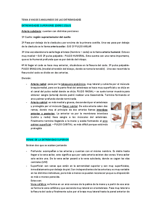 Miniatura del documento Tema-8-VASOS-SANGUINEOS-DE-LAS-EXTREMIDADES.pdf