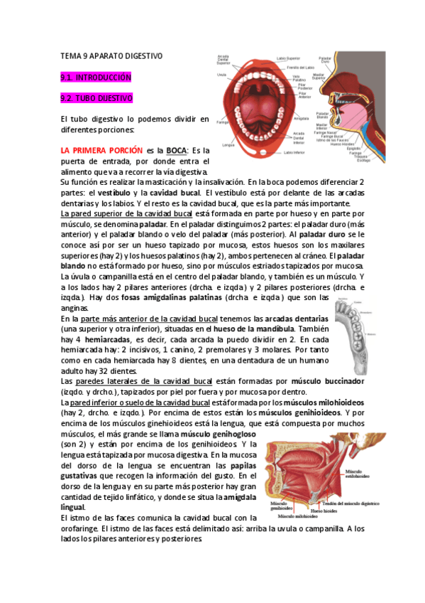 Miniatura del documento TEMA-9-APARATO-DIGESTIVO.pdf