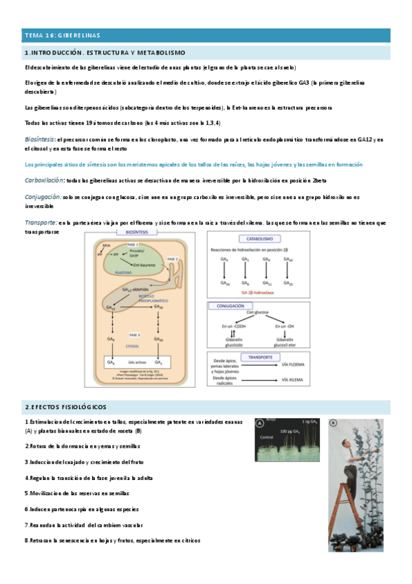 Miniatura del documento TEMA-16-FISIOLOGIA.pdf