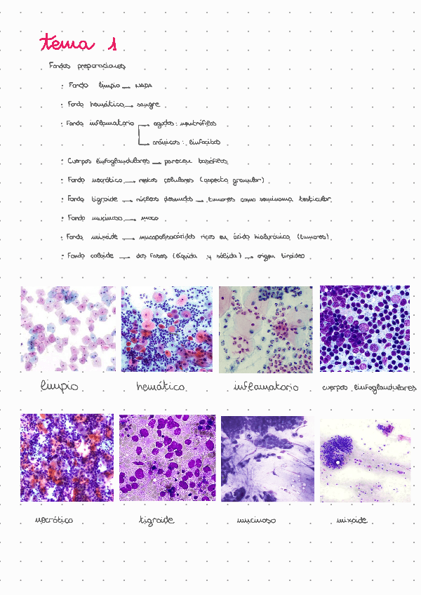Miniatura del documento T1: citología diagnóstica y células sanguíneas.pdf