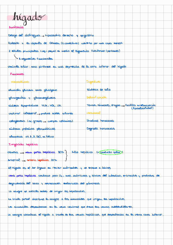 Miniatura del documento T6-higado.pdf