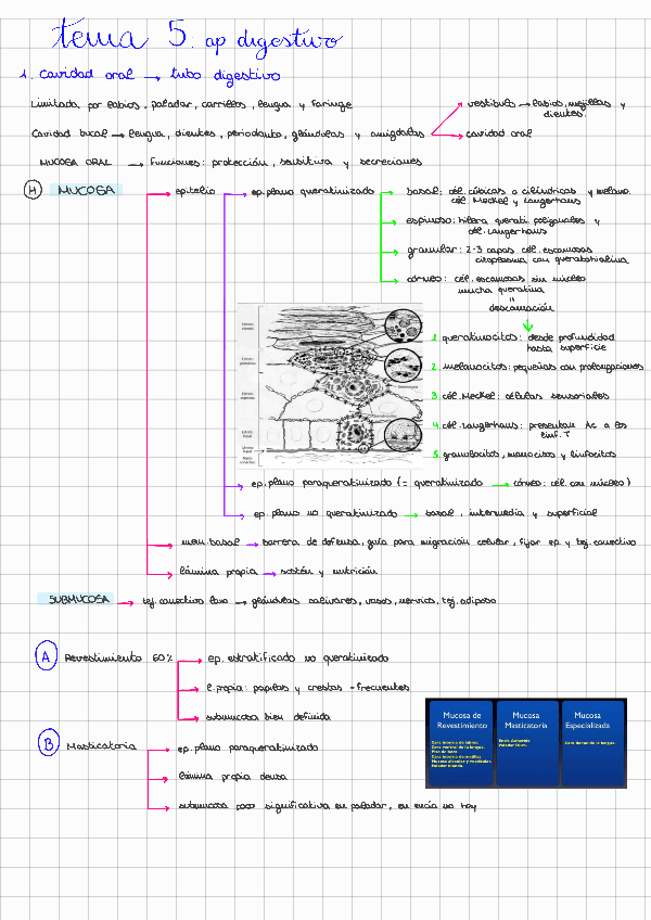 Miniatura del documento T5: ap.digestivo.pdf