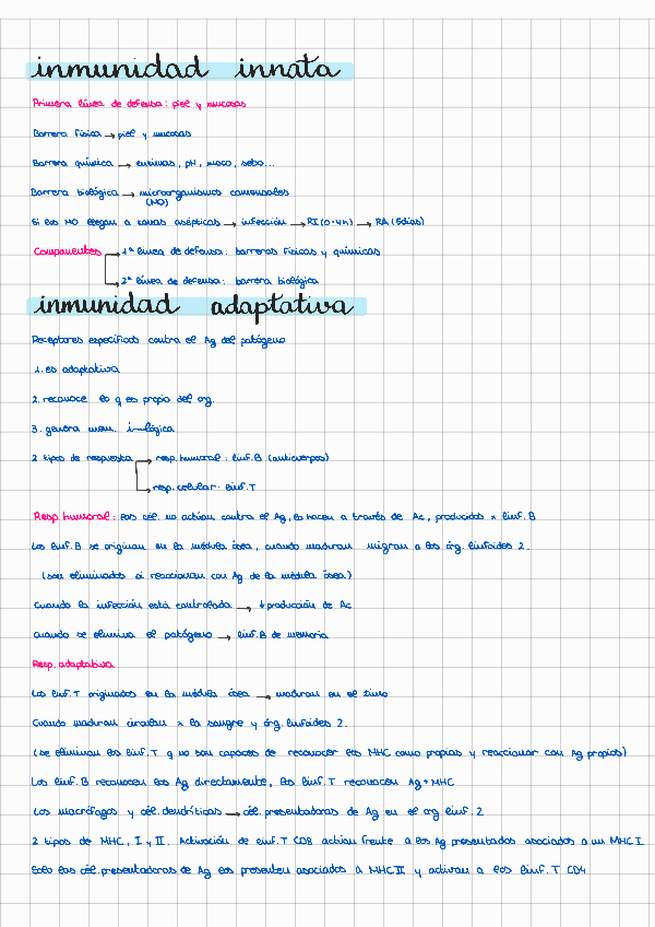 Miniatura del documento T8-ganglio-bazo-y-timo.pdf