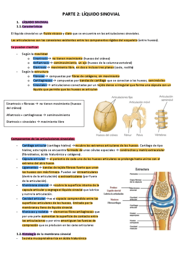 Miniatura del documento T7.2-Liquido-sinovial.pdf