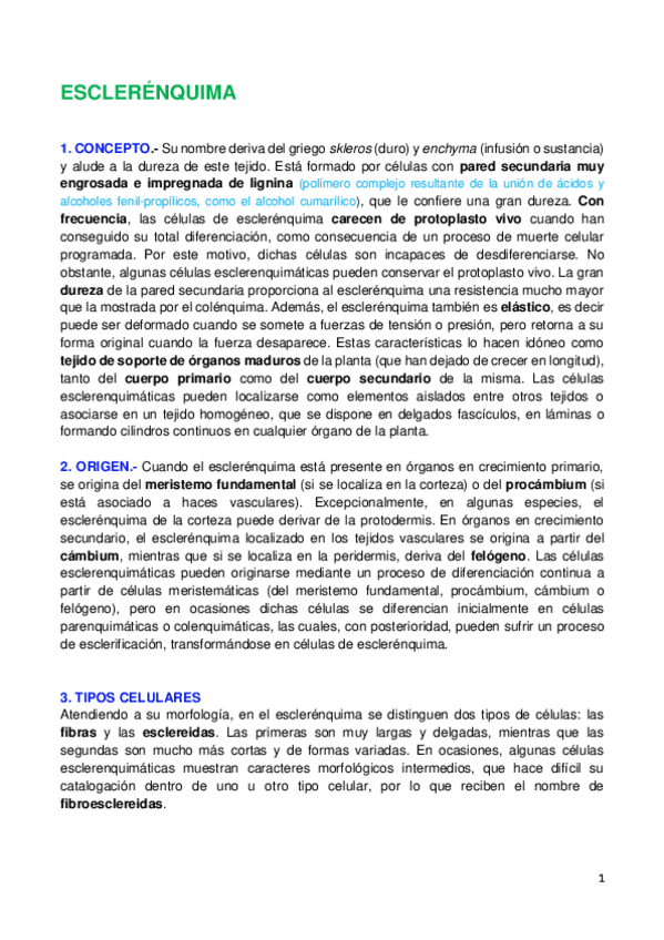 Miniatura del documento Tema-4.3.-Esclerenquima.pdf
