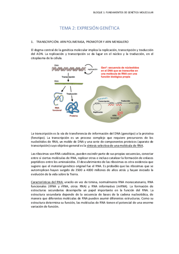 Miniatura del documento TEMA 2.pdf