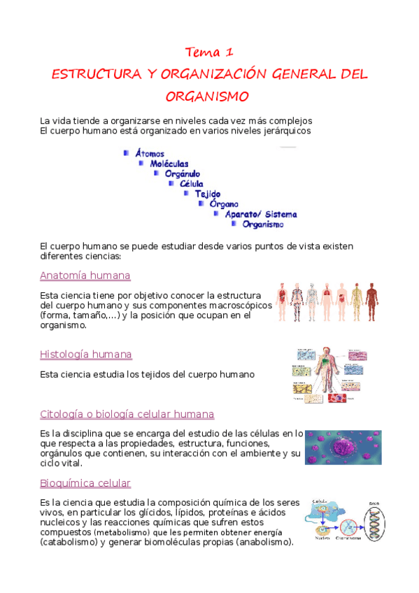 Miniatura del documento tema-1-fisiopatologia-resumido-estructura-y-organizacion.pdf