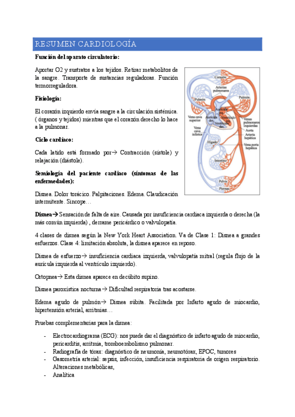 Miniatura del documento Tema-3.-Resumen-cardiologia.pdf