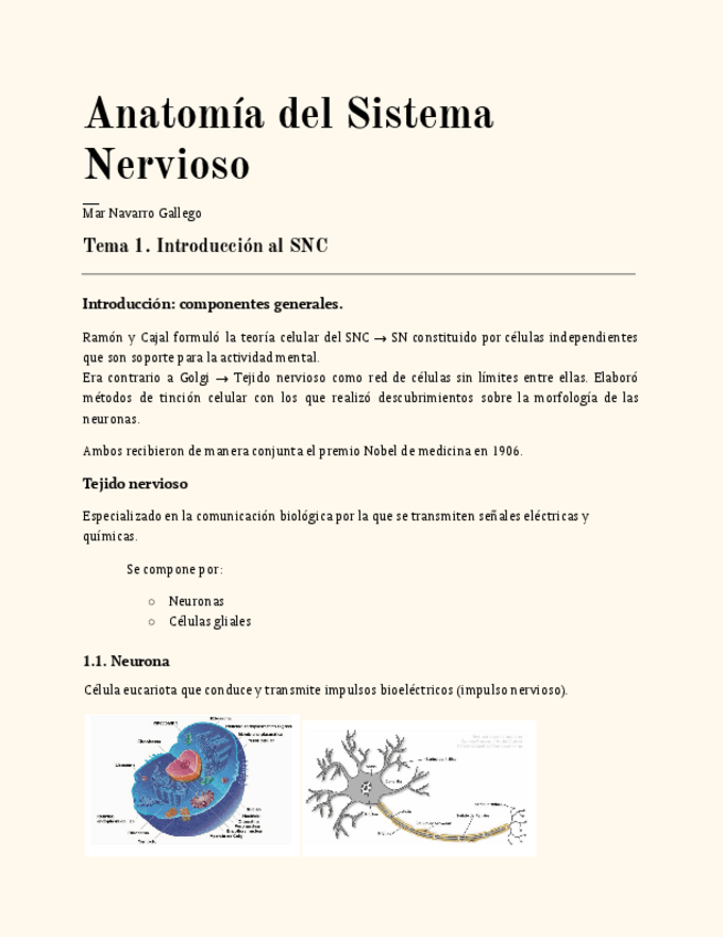Miniatura del documento Anatomia.pdf