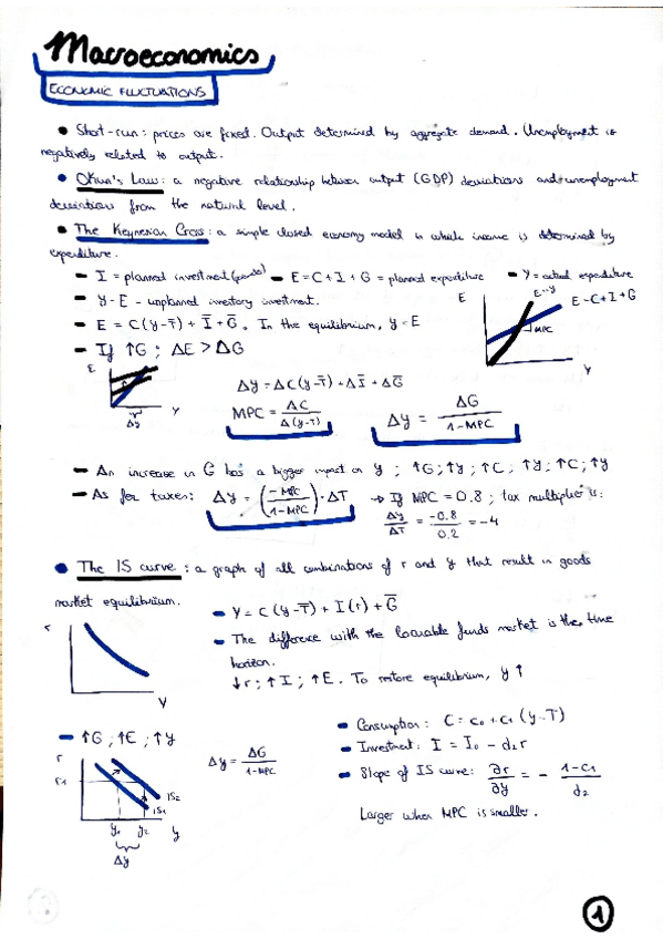 Miniatura del documento Economic-Fluctuations.pdf