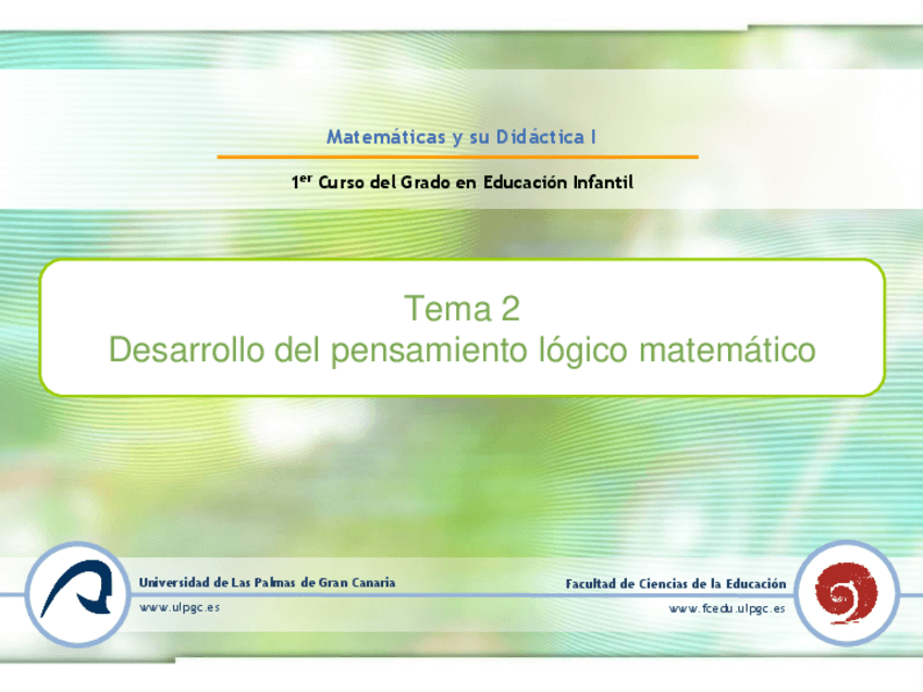 Miniatura del documento Tema-2.-Desarrollo-del-pensamiento-logico-matematico.pdf