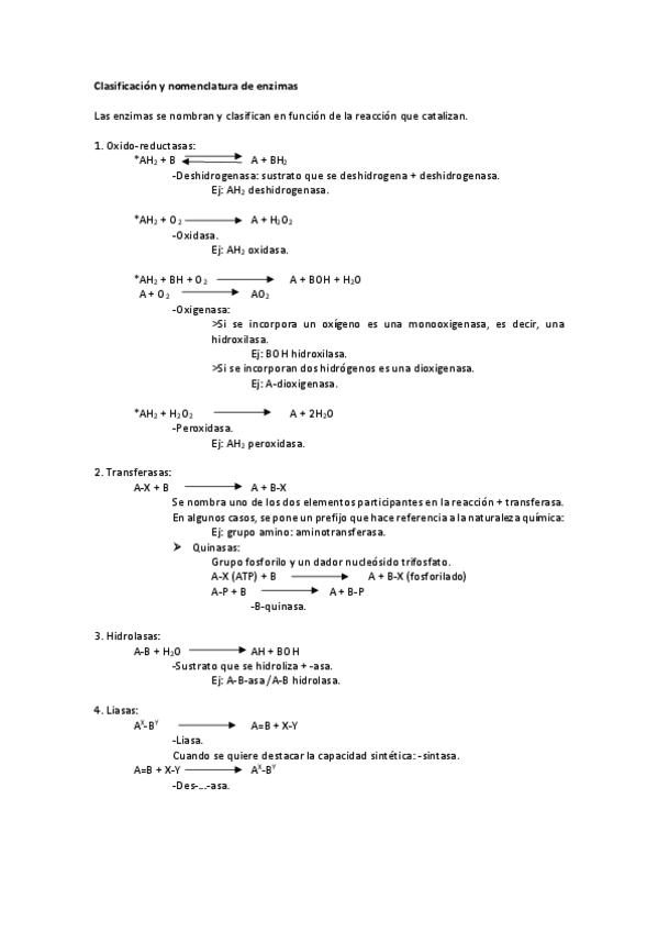 Miniatura del documento Clasificación y nomenclatura de enzimas.pdf