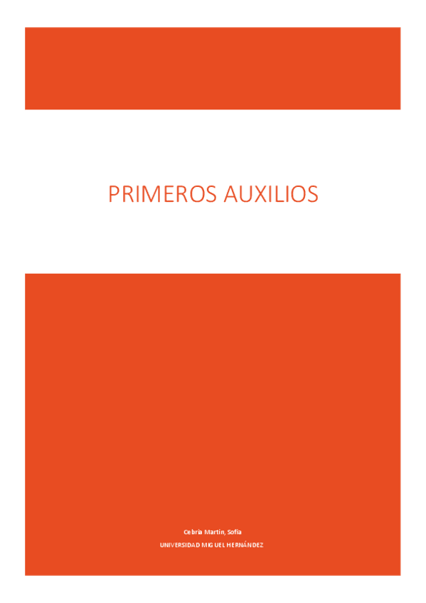 Miniatura del documento Apuntes-PA.pdf