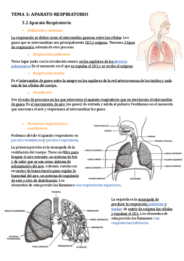 Miniatura del documento Respiratorio-T7.pdf