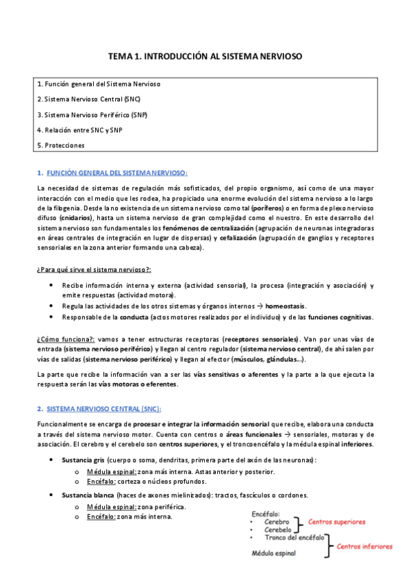 Miniatura del documento BLOQUE VII: Sistema nervioso (completo).pdf