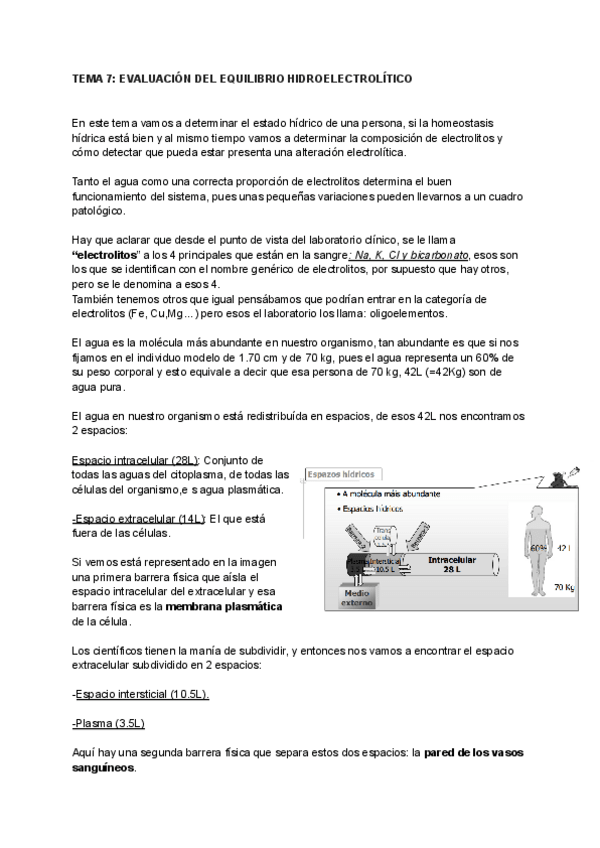 Miniatura del documento TEMA-7.pdf