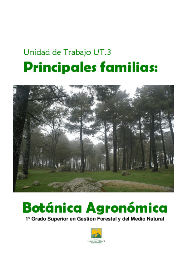 Miniatura del documento UT.3-Familias-Botanicas.pdf