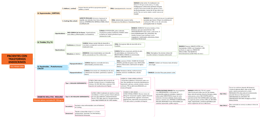 Miniatura del documento PACIENTES TRASTORNOS ENDOCRINOS -ESQUEMA.pdf