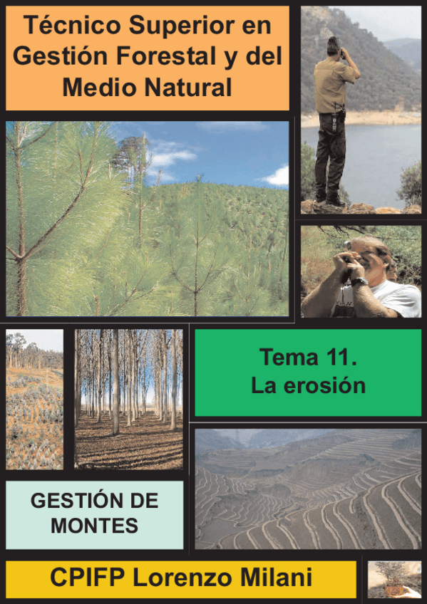 Miniatura del documento temas-11-13opt.pdf